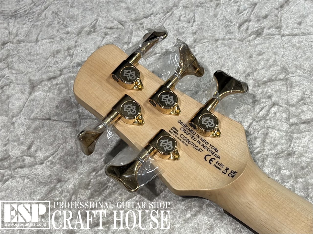 【即納可能】Spector / NS-5 ICON BOLT-ON / Black Stain Gloss 渋谷店