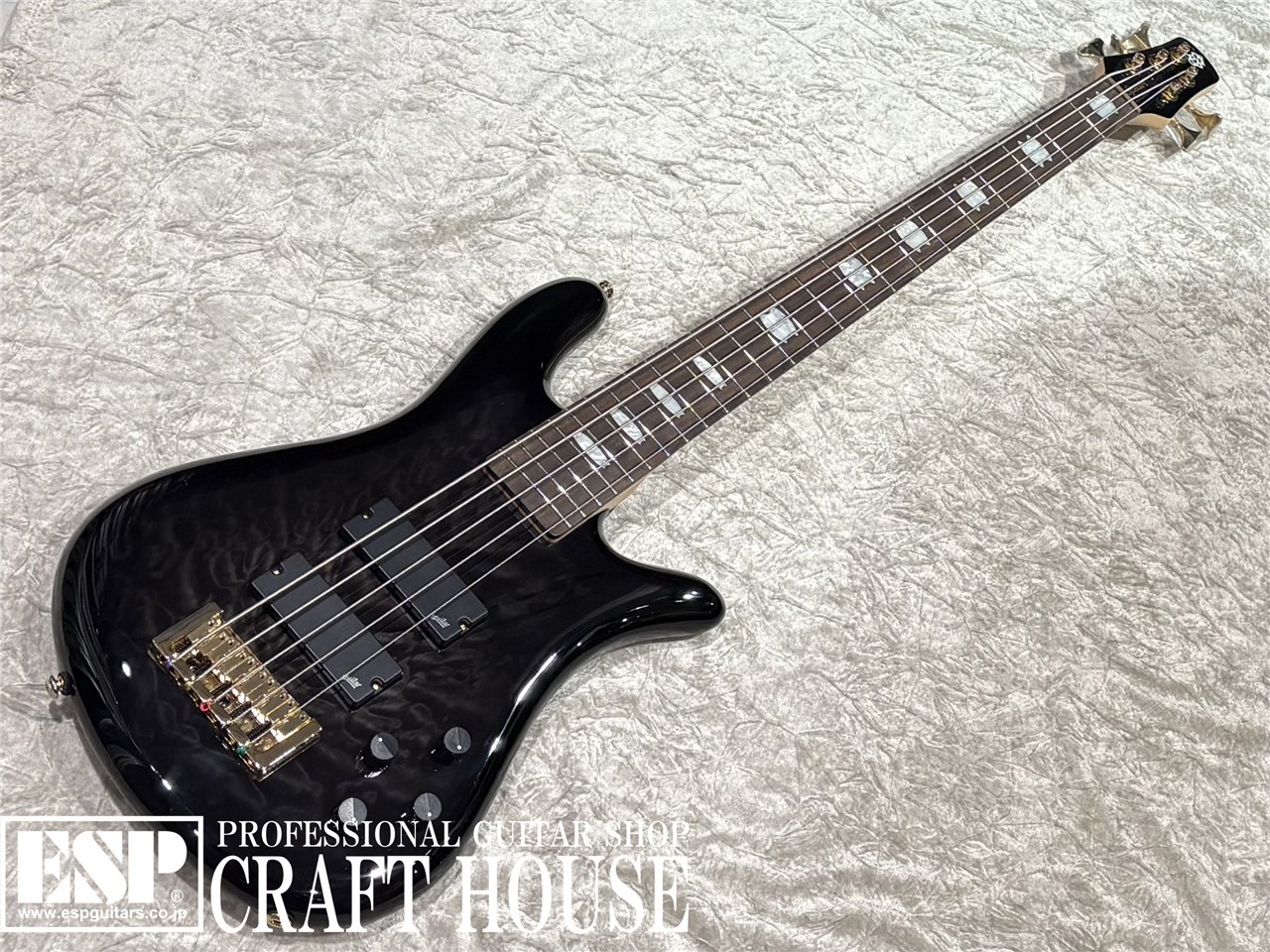 【即納可能】Spector / NS-5 ICON BOLT-ON / Black Stain Gloss　渋谷店