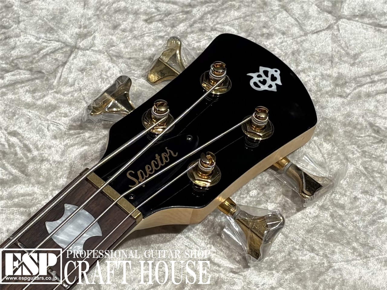 【即納可能】Spector / NS-2 ICON BOLT-ON / Black Cherry Gloss 渋谷店