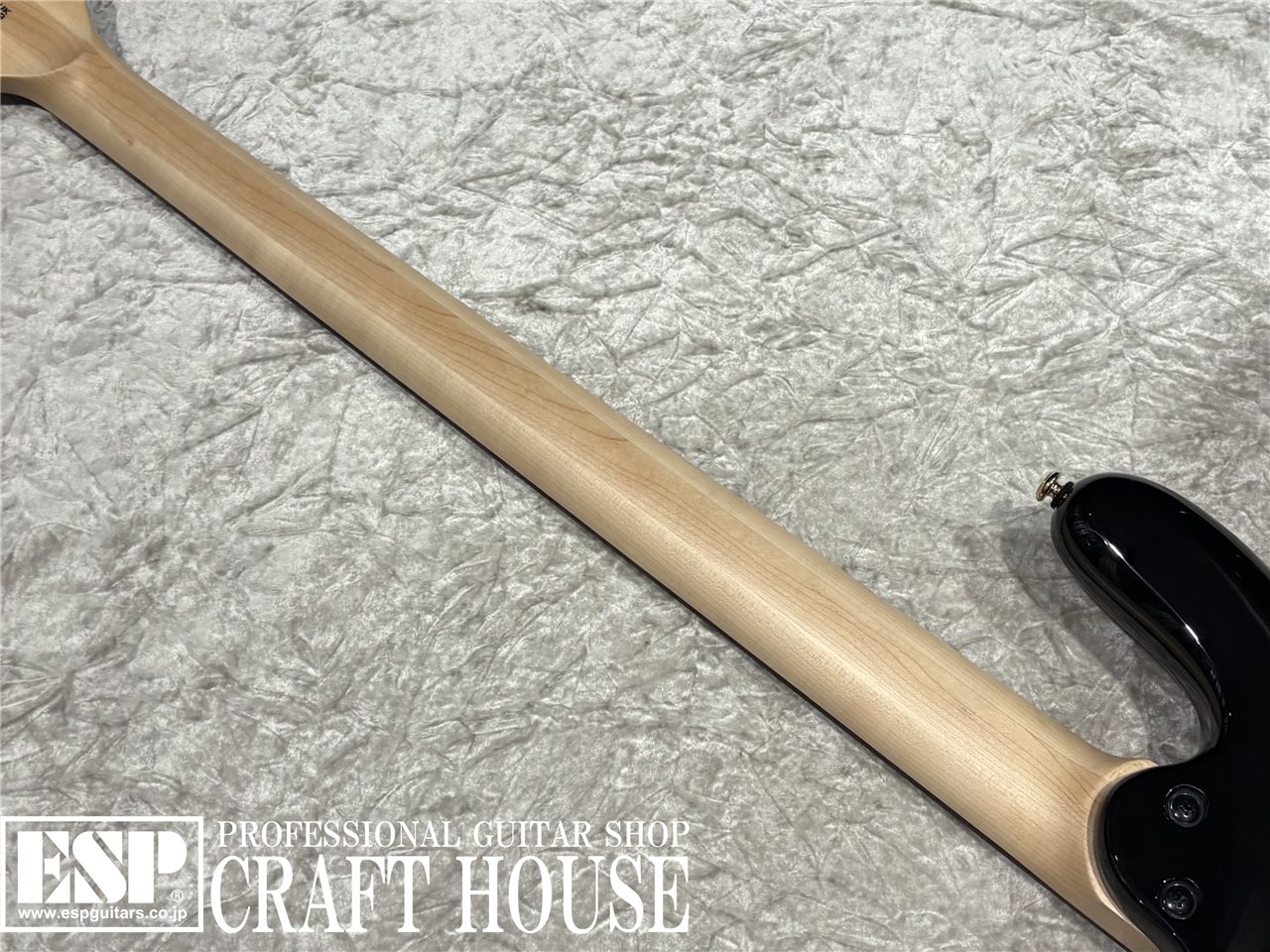 【即納可能】Spector / NS-2 ICON BOLT-ON / Black Cherry Gloss 渋谷店