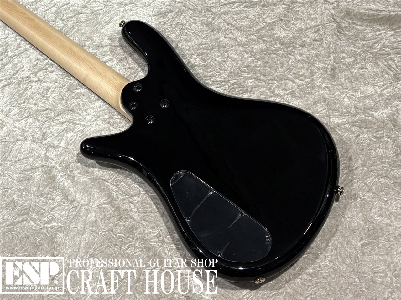 【即納可能】Spector / NS-2 ICON BOLT-ON / Black Cherry Gloss 渋谷店