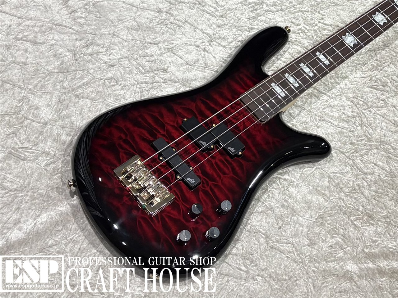 【即納可能】Spector / NS-2 ICON BOLT-ON / Black Cherry Gloss 渋谷店