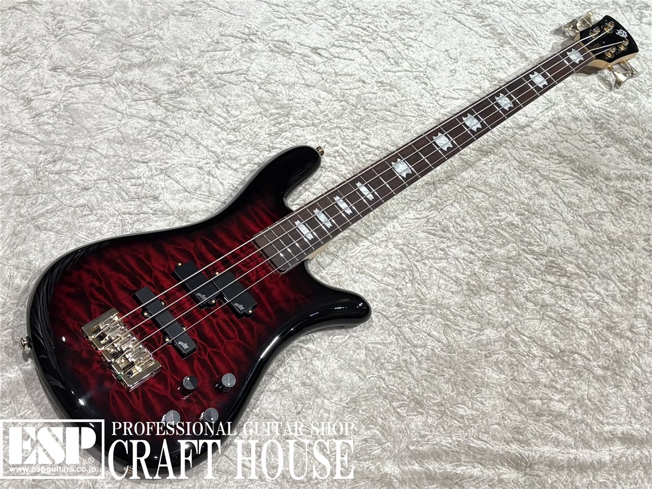 【即納可能】Spector / NS-2 ICON BOLT-ON / Black Cherry Gloss　渋谷店