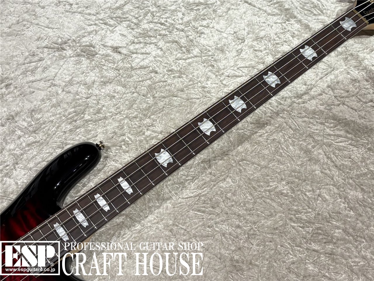 【即納可能】Spector / NS-2 ICON BOLT-ON / Black Cherry Gloss 渋谷店