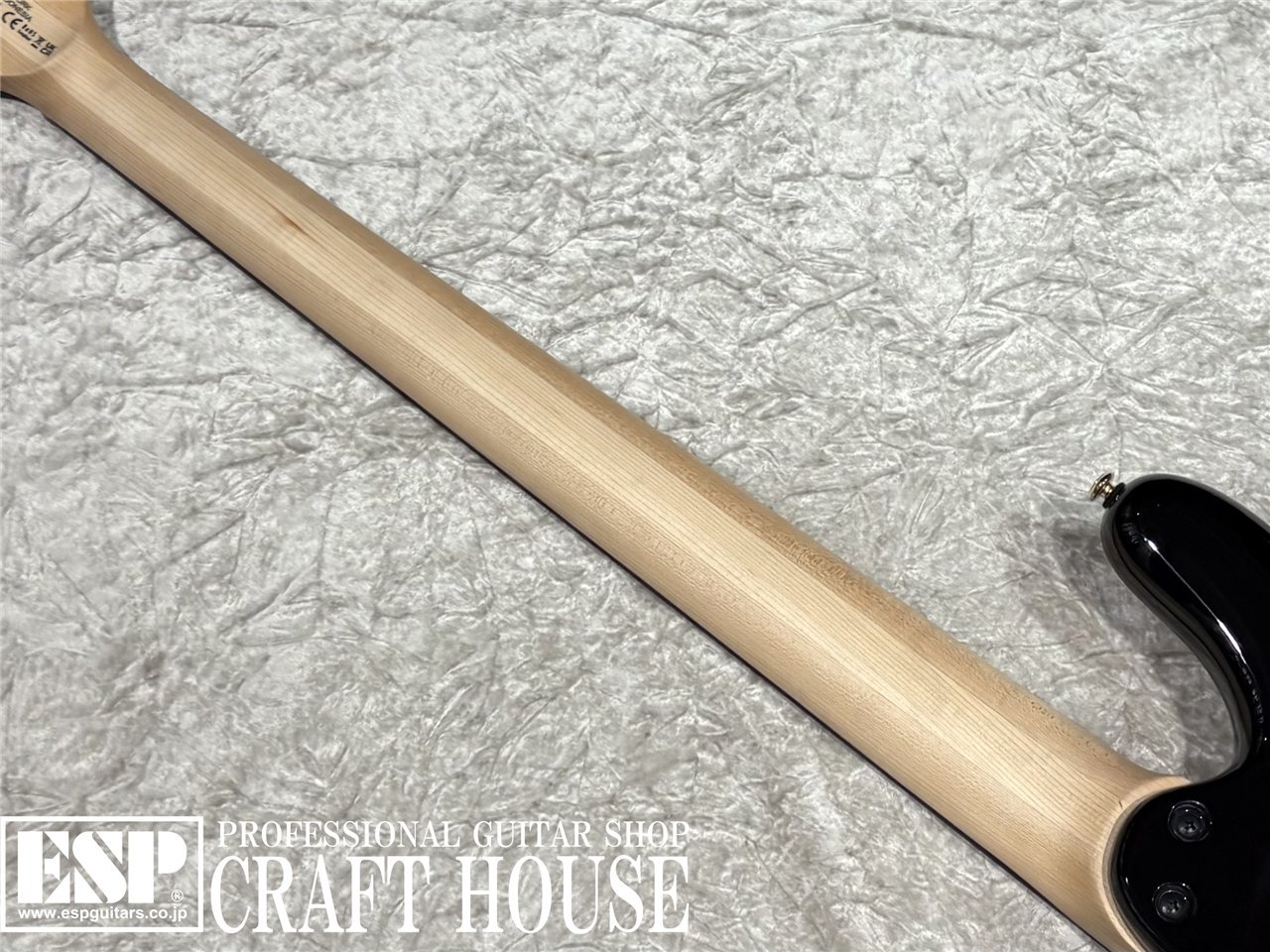 【即納可能】Spector / NS-5 ICON BOLT-ON / Black Cherry Gloss 渋谷店