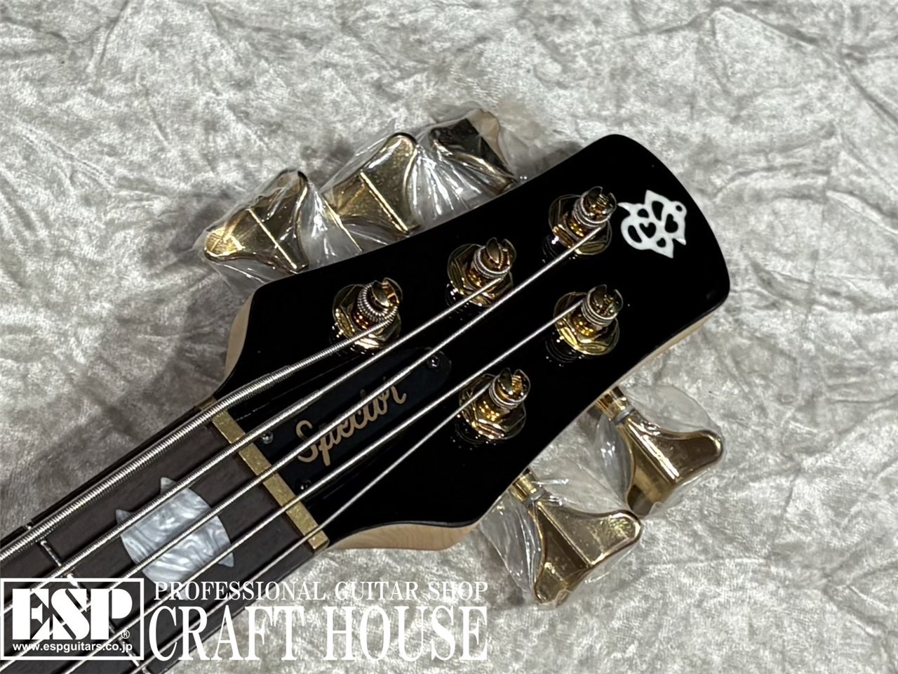 【即納可能】Spector / NS-5 ICON BOLT-ON / Black Cherry Gloss 渋谷店