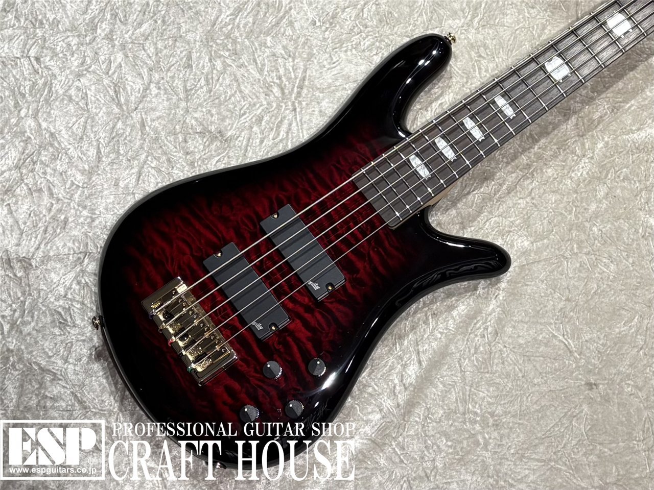 【即納可能】Spector / NS-5 ICON BOLT-ON / Black Cherry Gloss 渋谷店