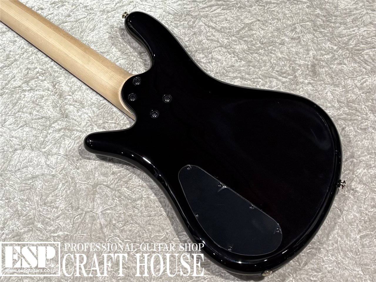 【即納可能】Spector / NS-5 ICON BOLT-ON / Black Cherry Gloss 渋谷店
