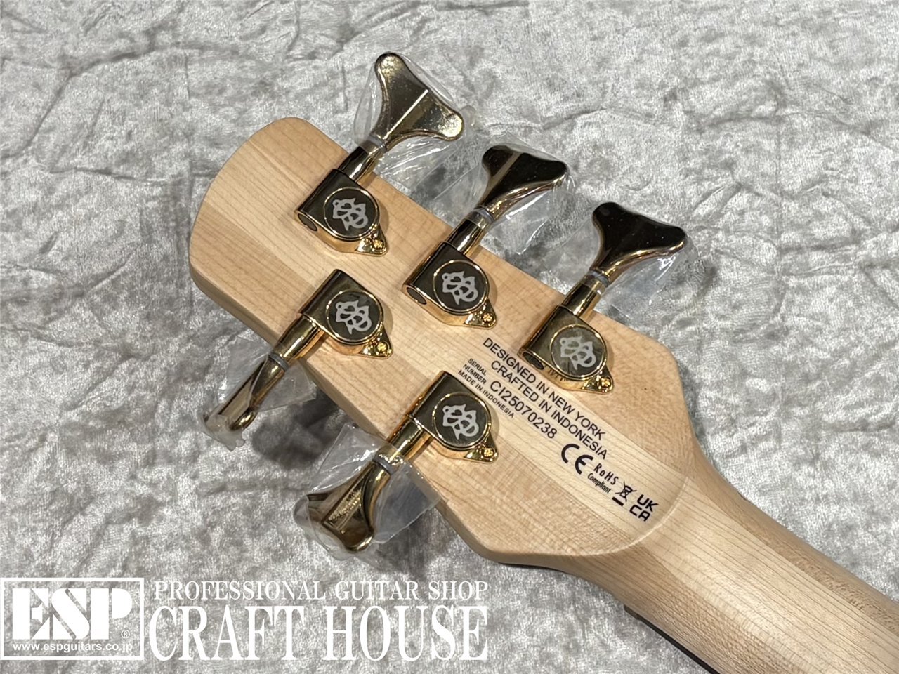 【即納可能】Spector / NS-5 ICON BOLT-ON / Black Cherry Gloss 渋谷店