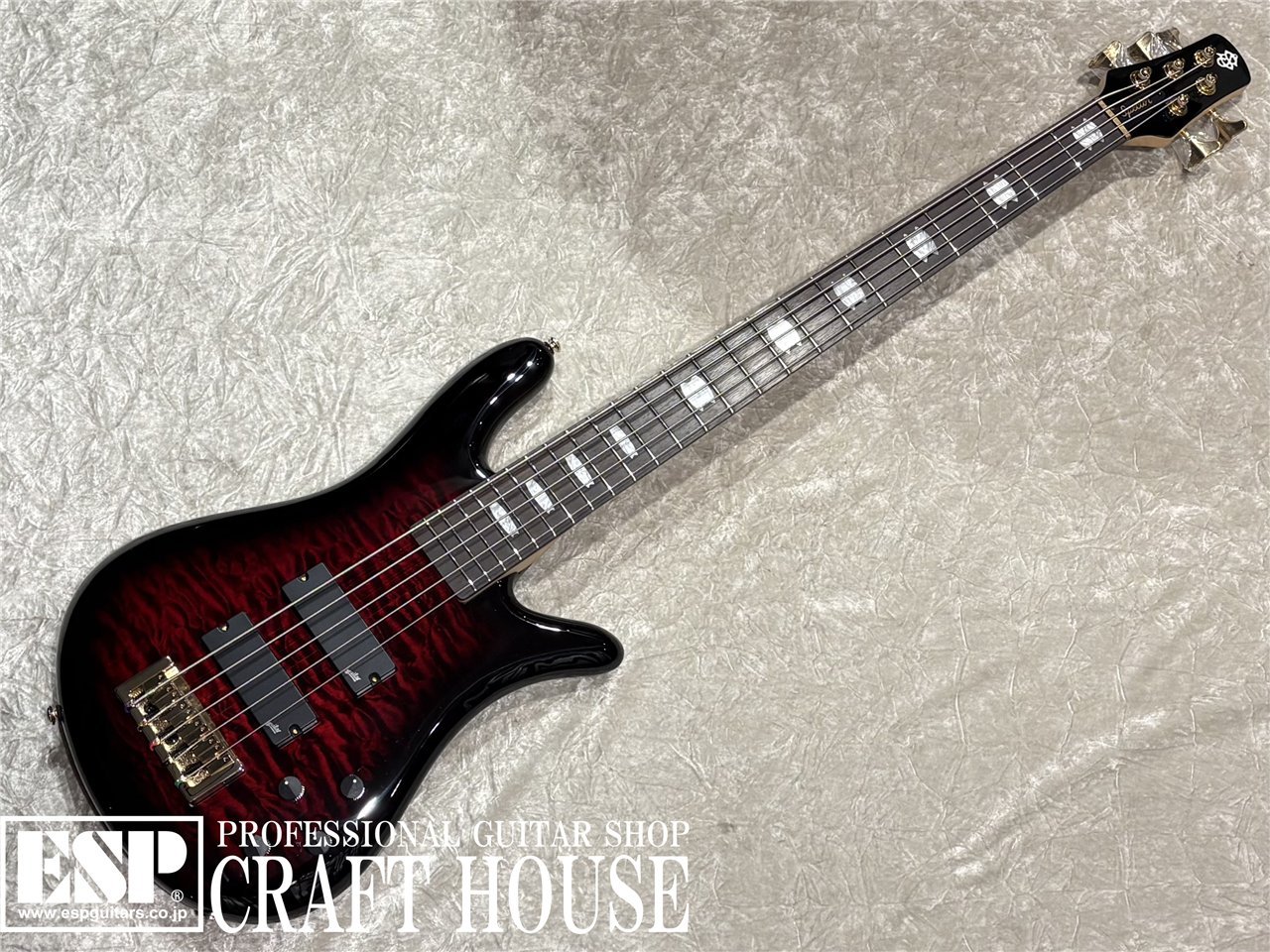 【即納可能】Spector / NS-5 ICON BOLT-ON / Black Cherry Gloss　渋谷店