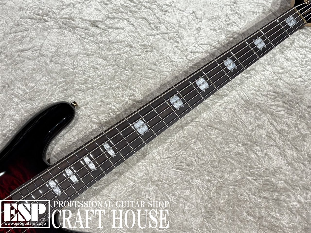 【即納可能】Spector / NS-5 ICON BOLT-ON / Black Cherry Gloss 渋谷店