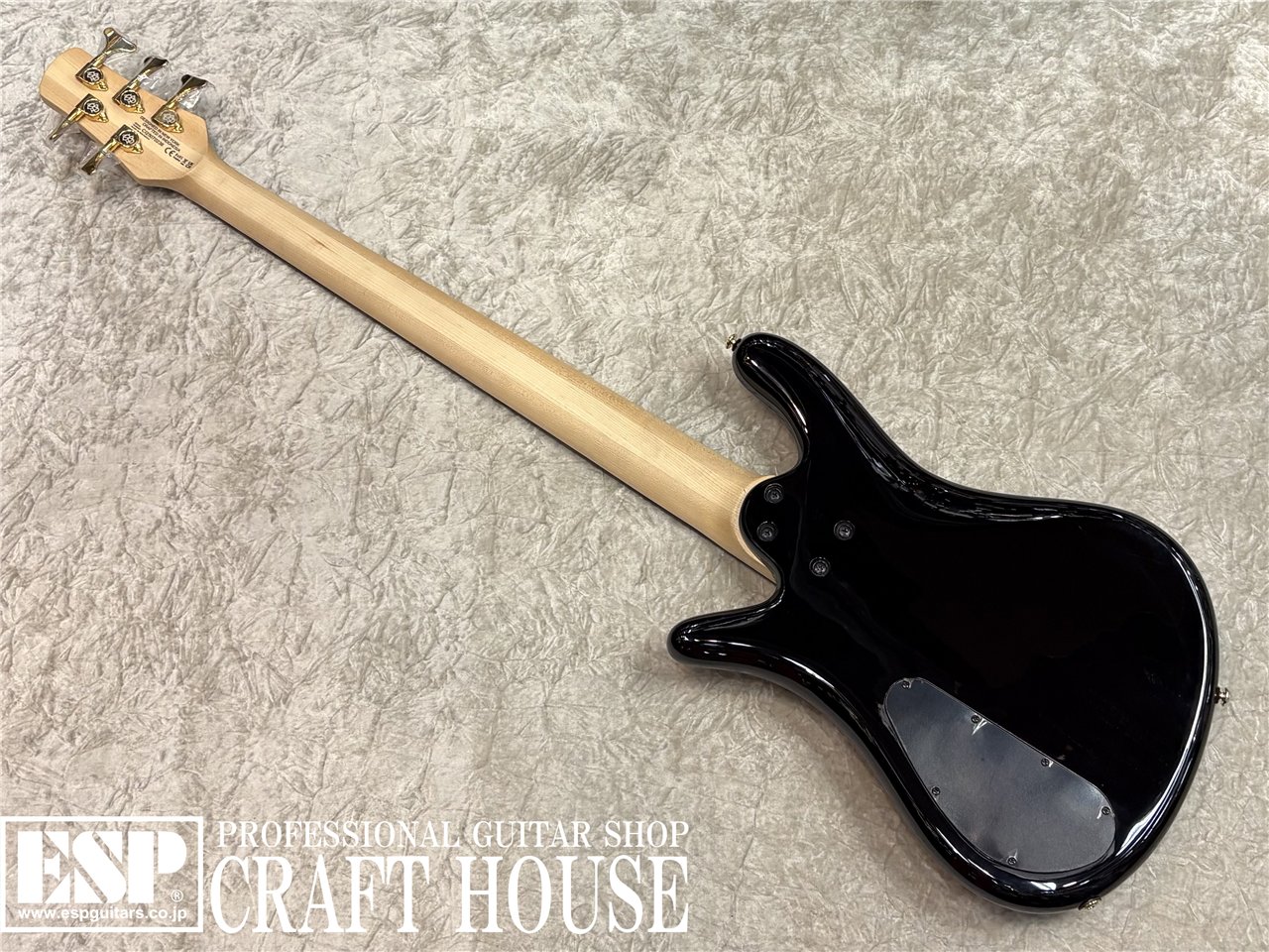 【即納可能】Spector / NS-5 ICON BOLT-ON / Black Cherry Gloss 渋谷店