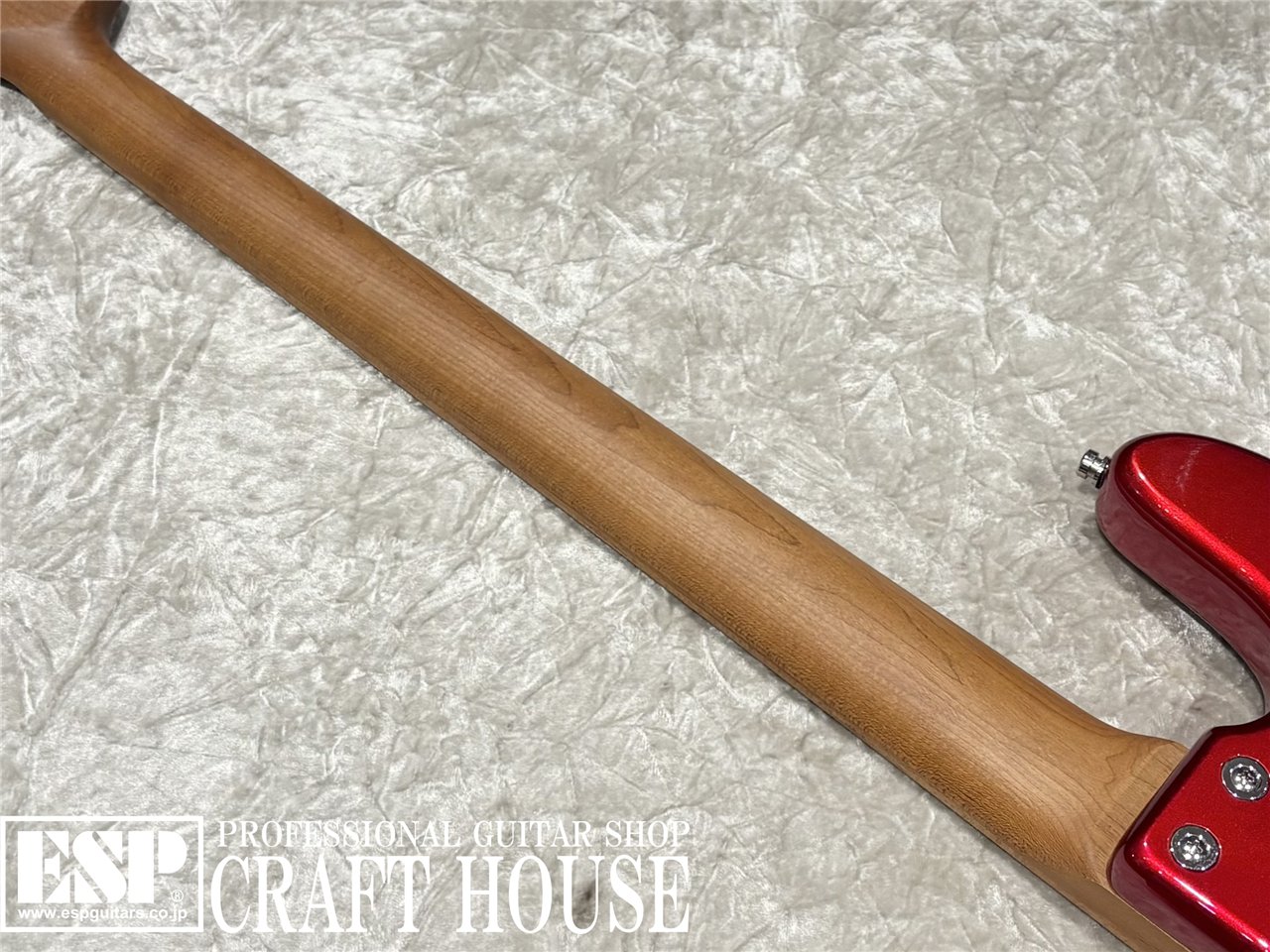 【即納可能】Sadowsky MX21 VJ4 Maple / Candy Apple Red 渋谷店