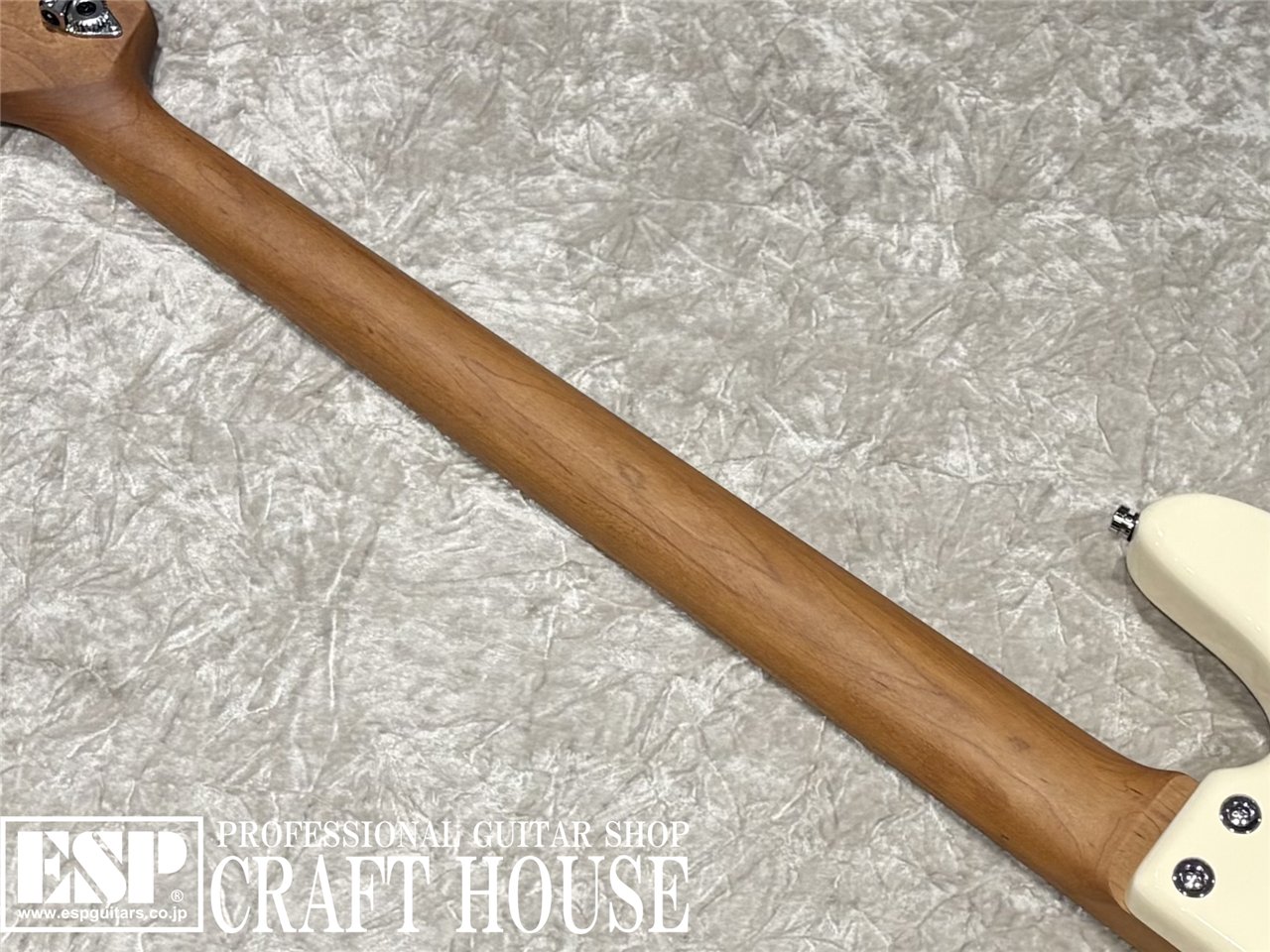 【即納可能】Sadowsky MX21 VJ4 Maple / Olympic White 渋谷店