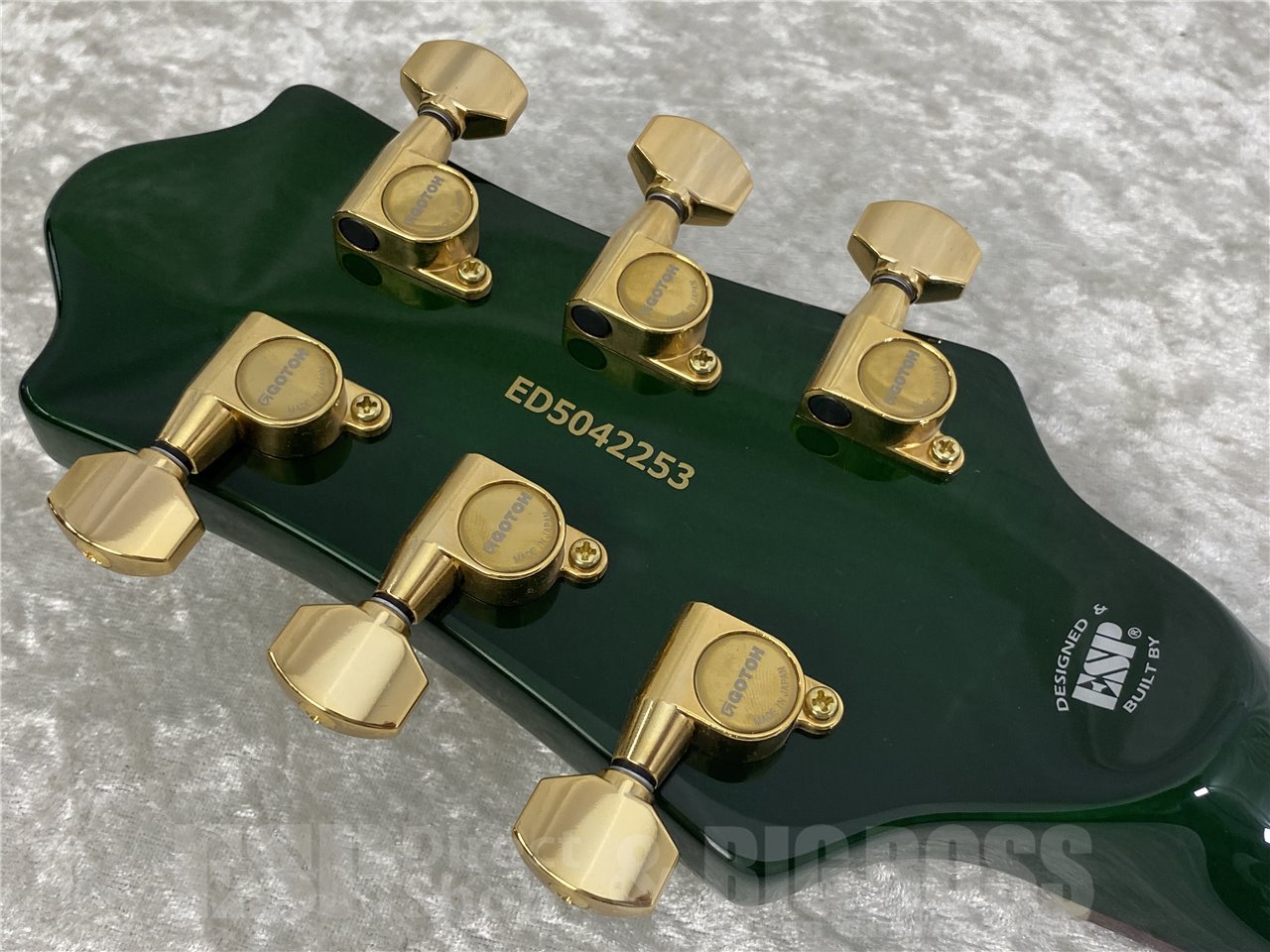 【即納可能】EDWARDS(エドワーズ) E-U-HL2 (Malachite Green) #5042253 お茶の水駅前店(東京)