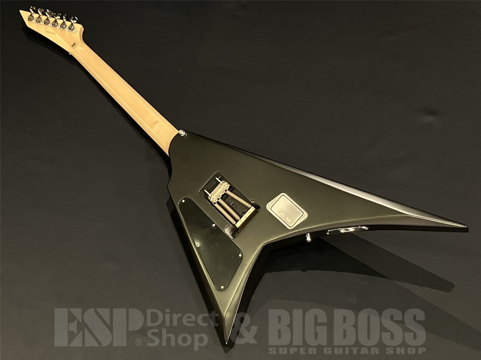 【即納可能】E-II(イーツ―) ALEXI RIPPED (BODOM AFTER MIDNIGHT/Alexi Laihoモデル) 京都店