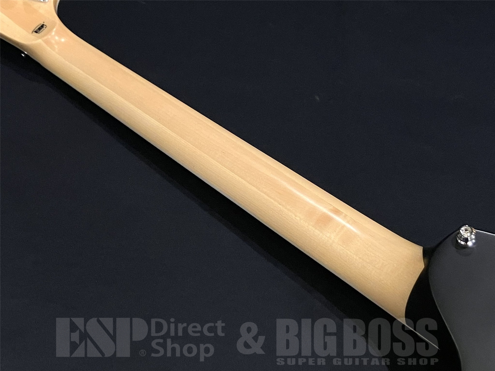 【即納可能】E-II(イーツ―) ALEXI RIPPED (BODOM AFTER MIDNIGHT/Alexi Laihoモデル) 京都店