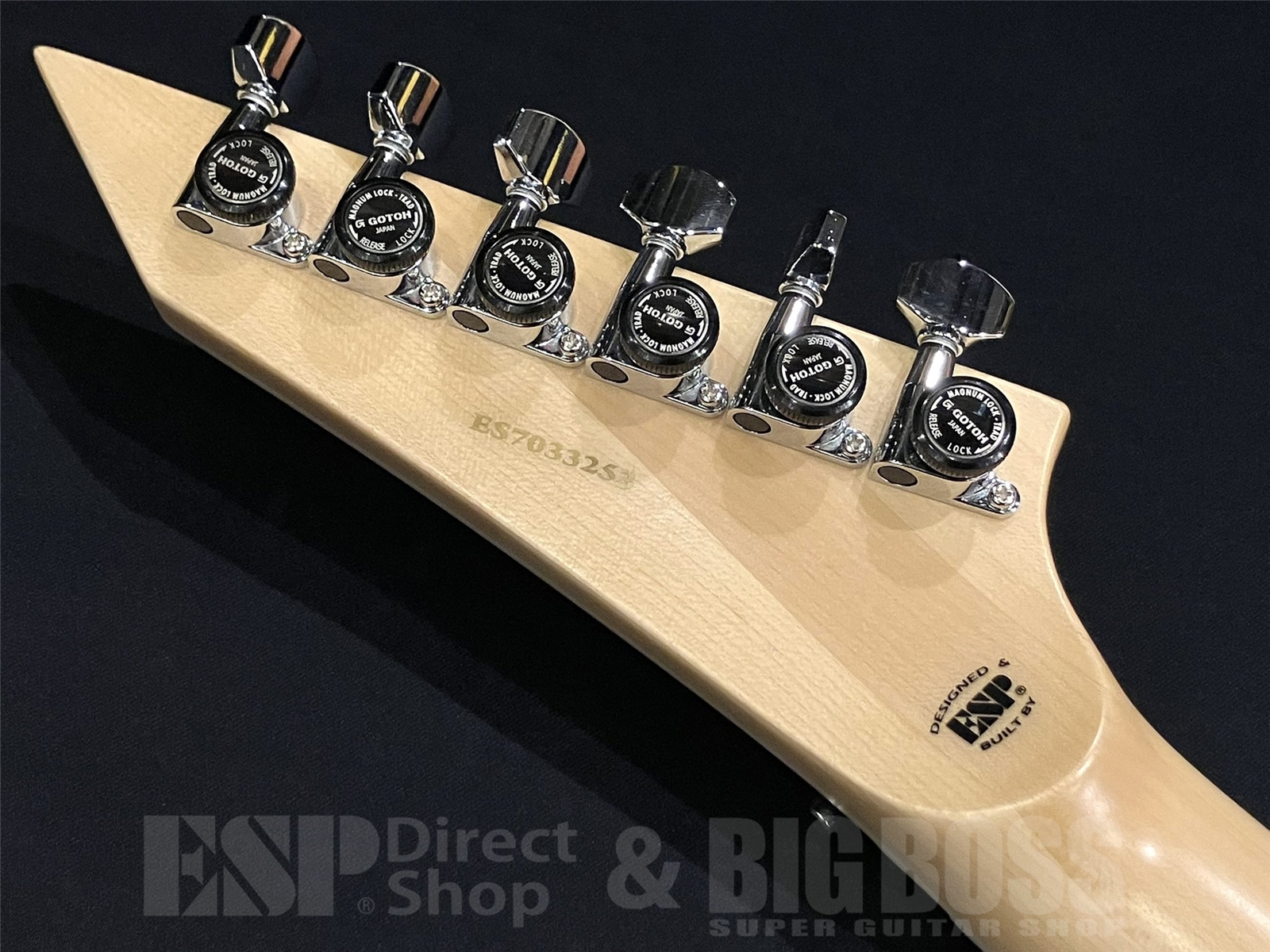 【即納可能】E-II(イーツ―) ALEXI RIPPED (BODOM AFTER MIDNIGHT/Alexi Laihoモデル) 京都店