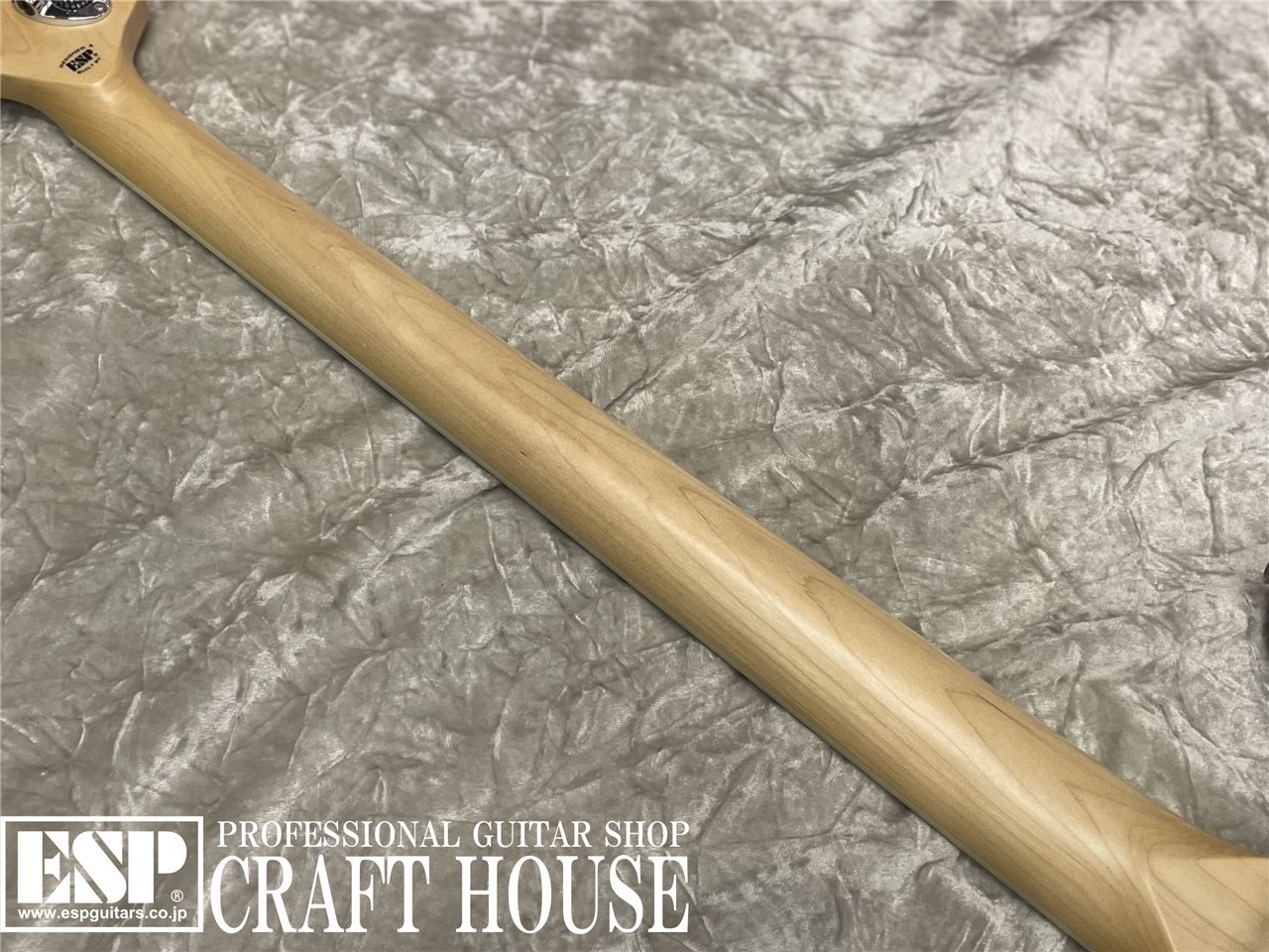 【即納可能】EDWARDS E-GROOVER-PB / See thru Brown 渋谷店