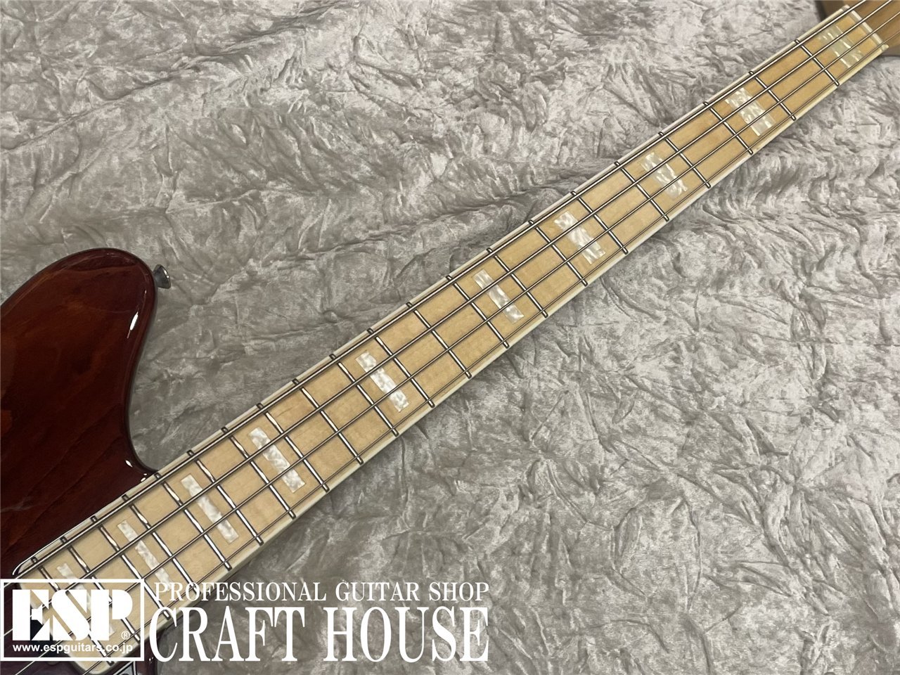 【即納可能】EDWARDS E-GROOVER-PB / See thru Brown 渋谷店