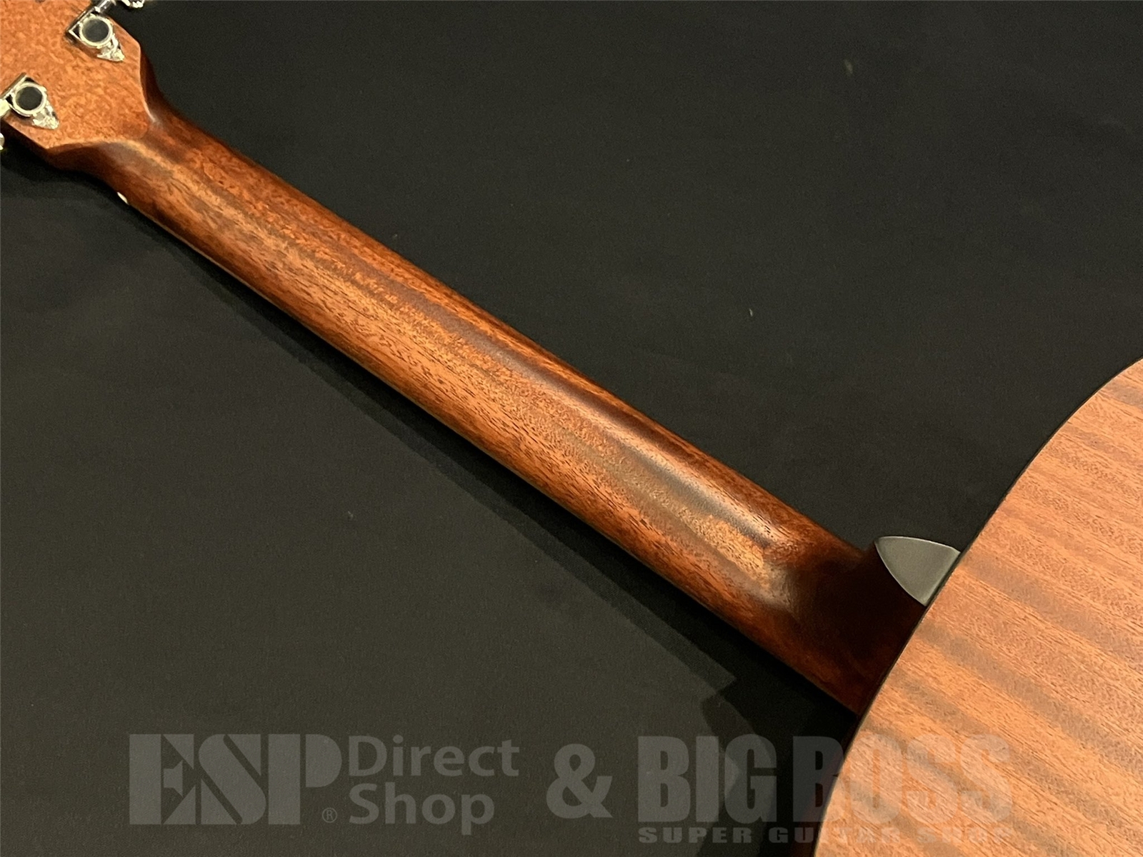 【即納可能】Eastman(イーストマン) PCH1-D-CLA 京都店