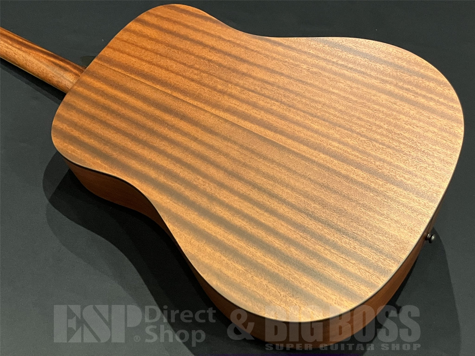 【即納可能】Eastman(イーストマン) PCH1-D-CLA 京都店