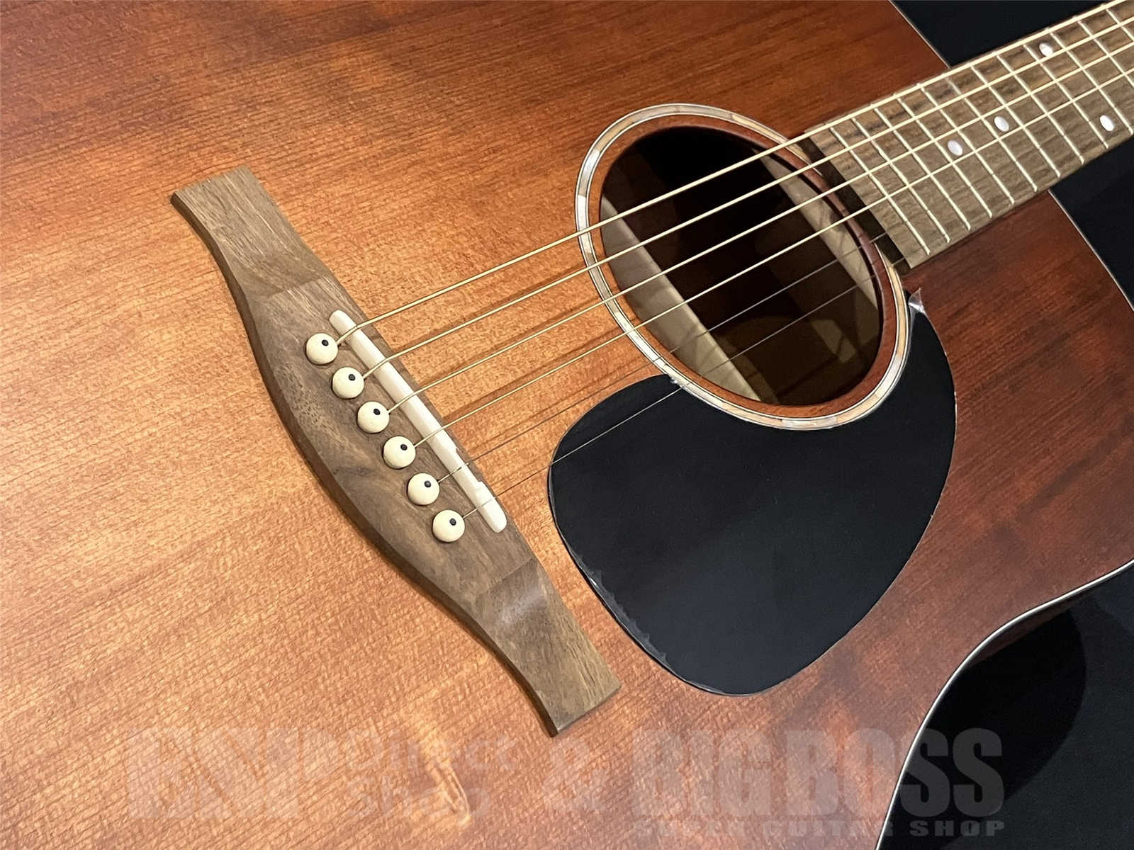 【即納可能】Eastman(イーストマン) PCH1-D-CLA 京都店