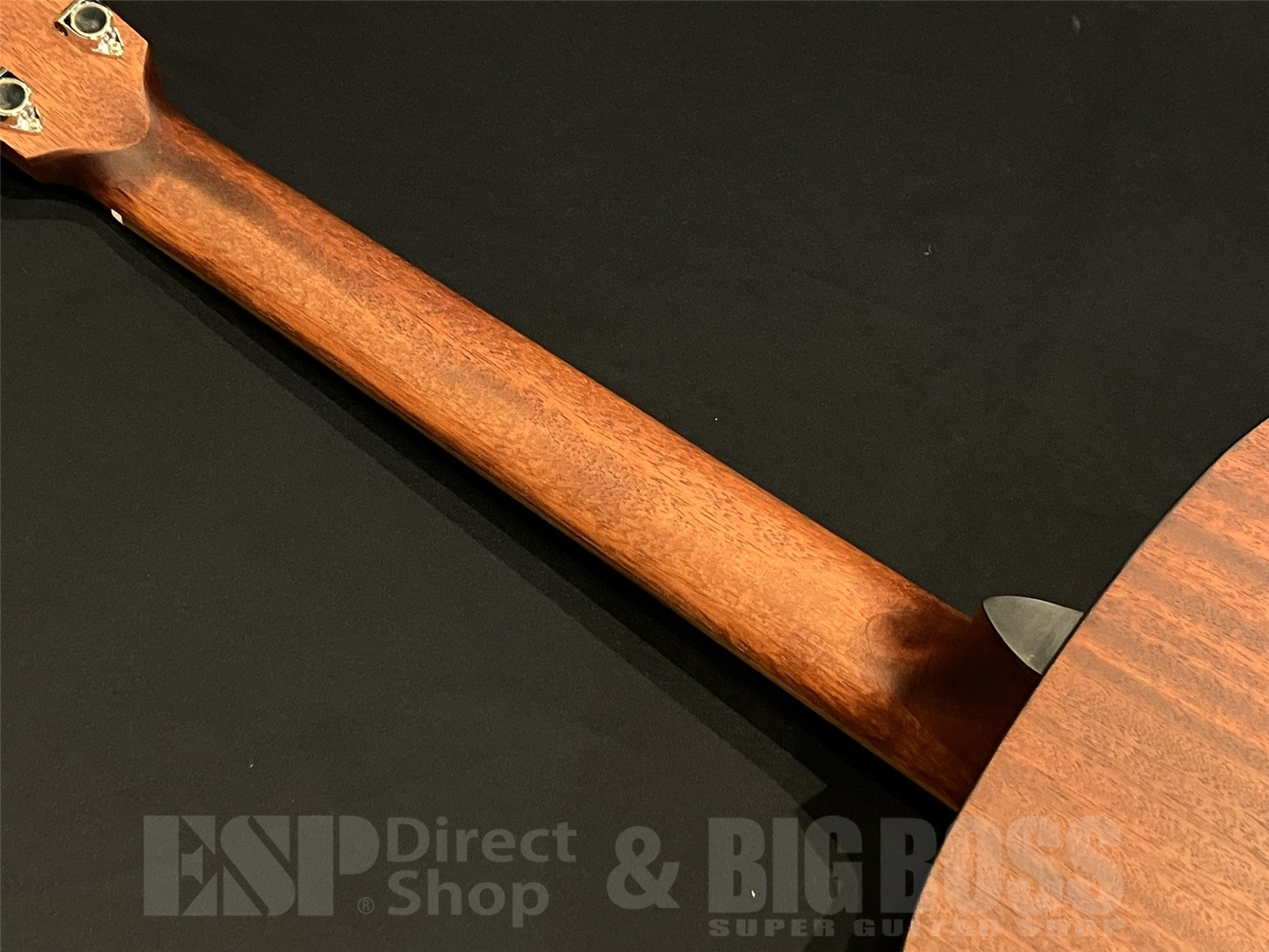 【即納可能】Eastman (イーストマン) PCH1-OM 京都店