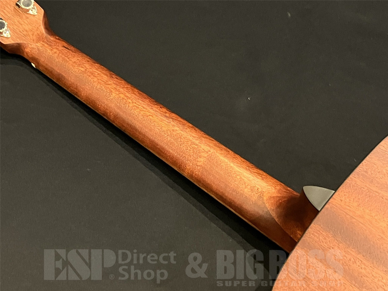 【即納可能】Eastman(イーストマン) PCH1-OM-CLA 京都店