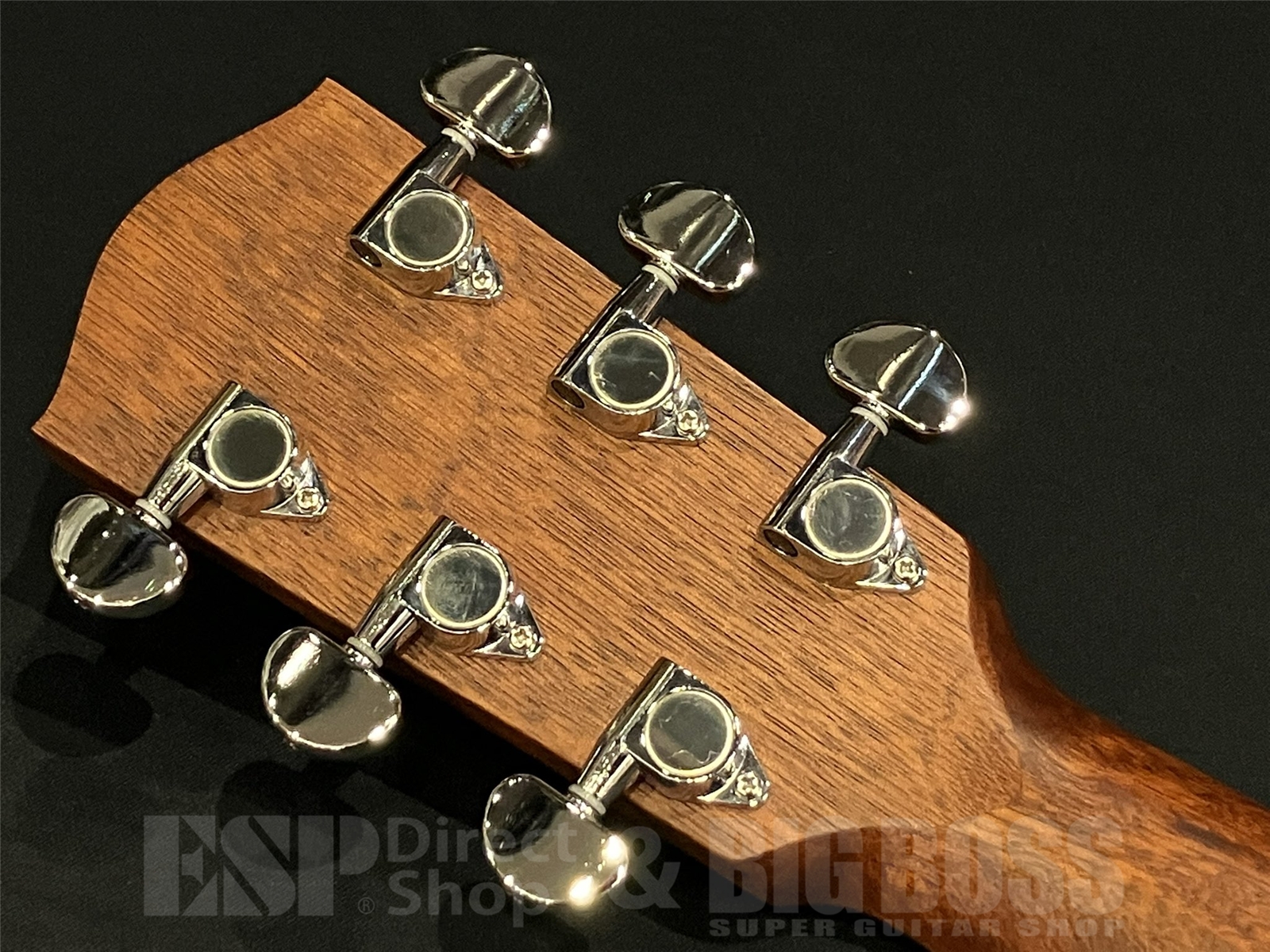 【即納可能】Eastman(イーストマン) PCH1-OM-CLA 京都店