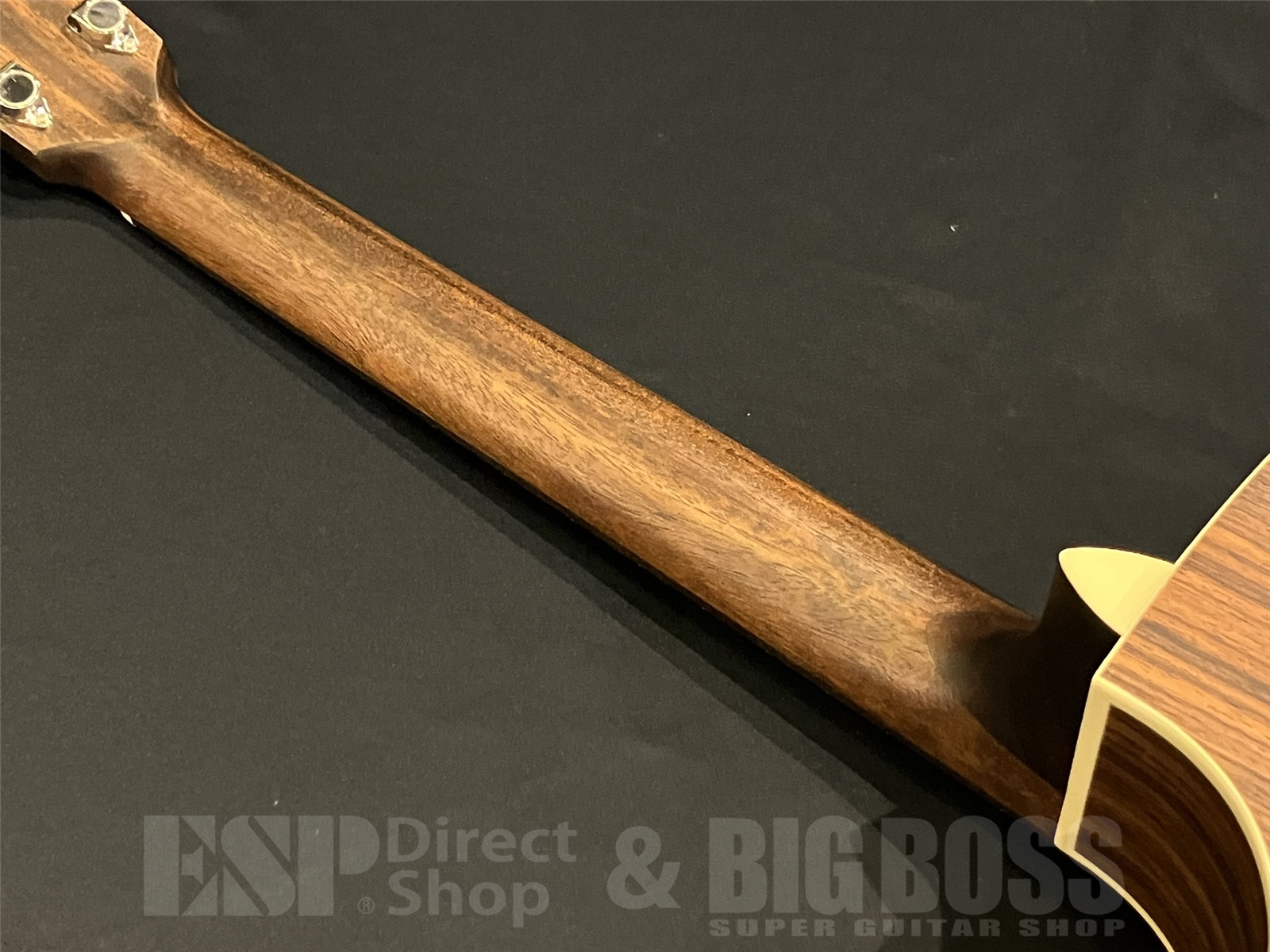 【即納可能】Eastman (イーストマン) PCH2-GACE 京都店