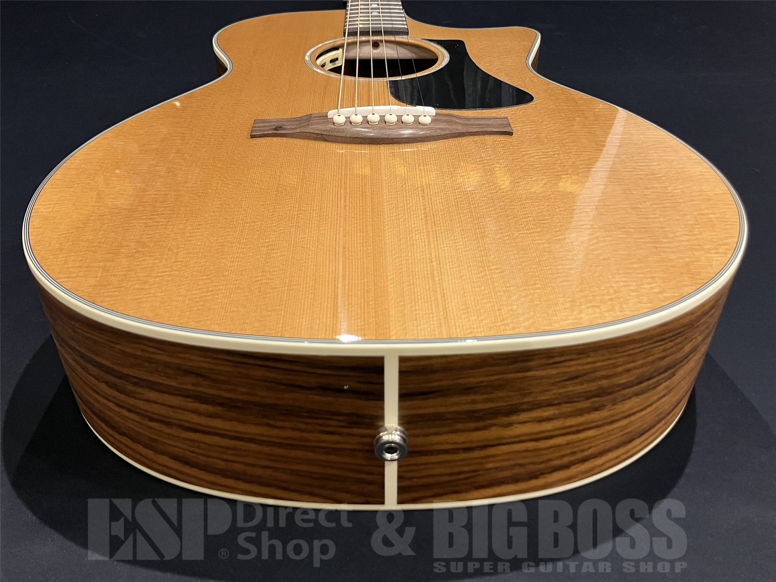 【即納可能】Eastman (イーストマン) PCH2-GACE 京都店