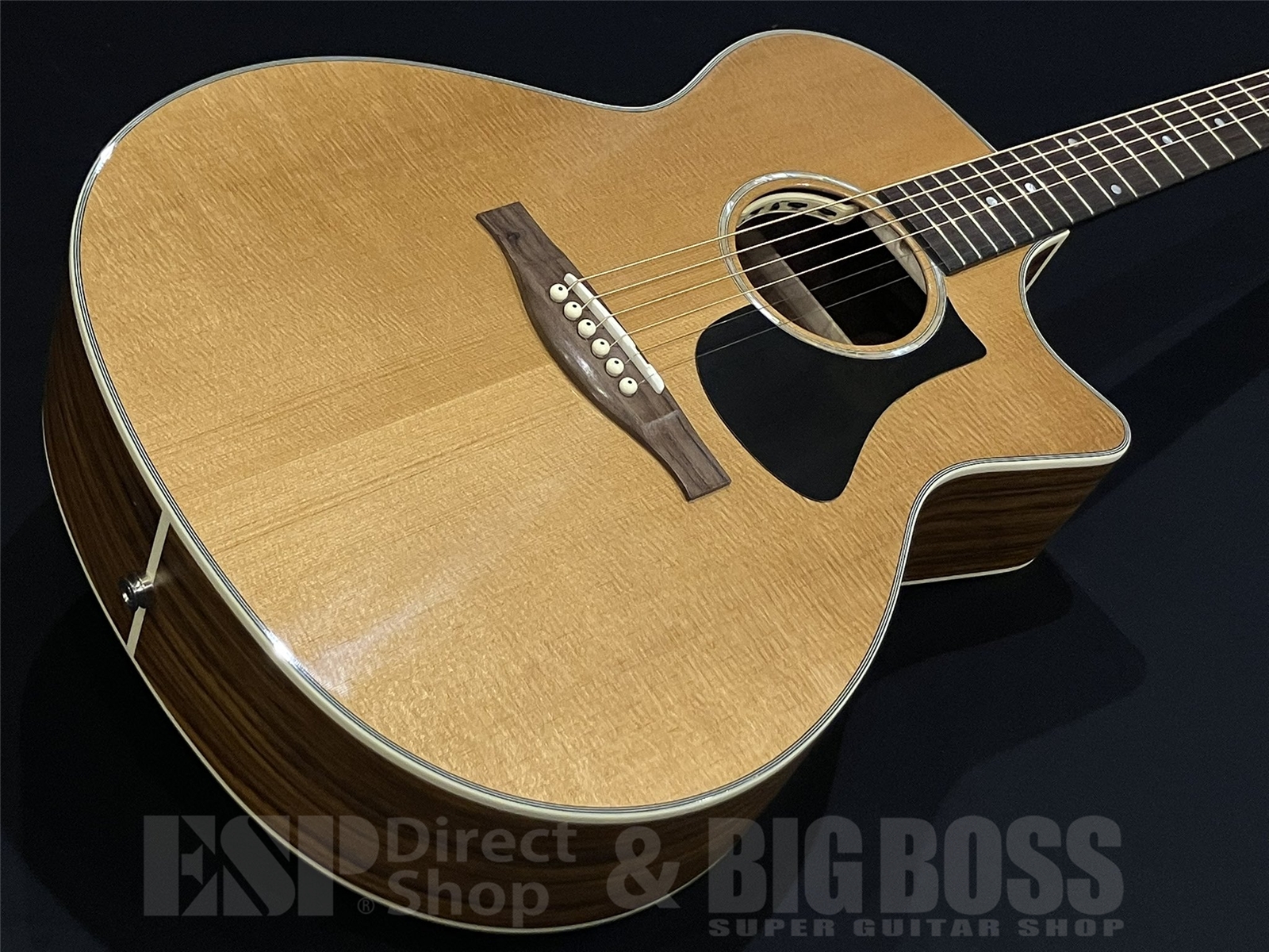 【即納可能】Eastman (イーストマン) PCH2-GACE 京都店