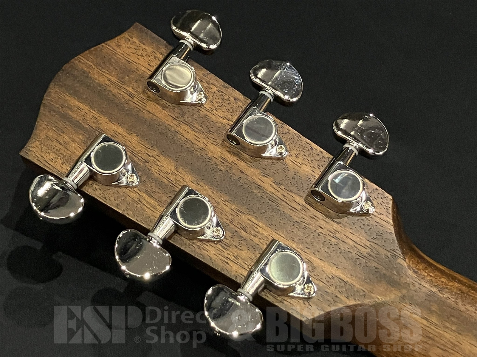 【即納可能】Eastman (イーストマン) PCH2-GACE 京都店