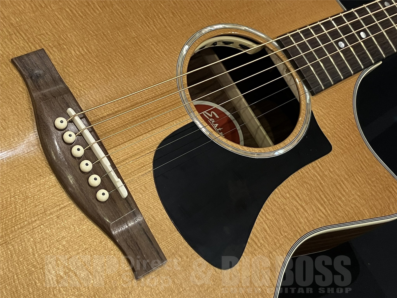 【即納可能】Eastman (イーストマン) PCH2-GACE 京都店