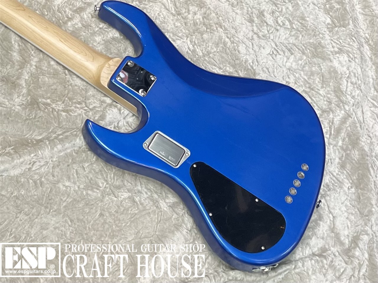 【即納可能】EDWARDS E-AMAZE-AS-5/M / Solid Metallic Blue　渋谷店