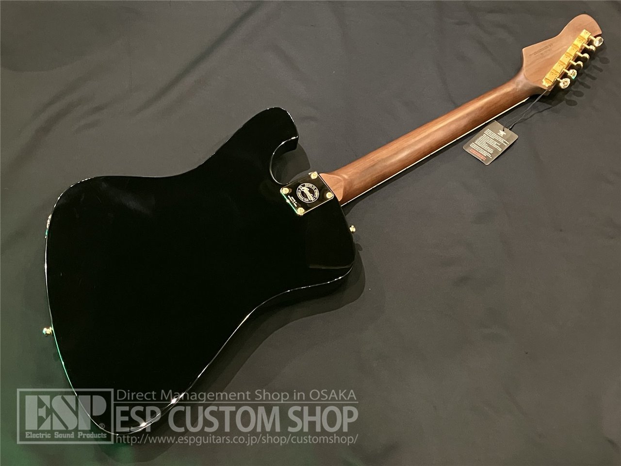 【即納可能】Baum Guitars(バウムギターズ)  Backwing Pure / Black　大阪店