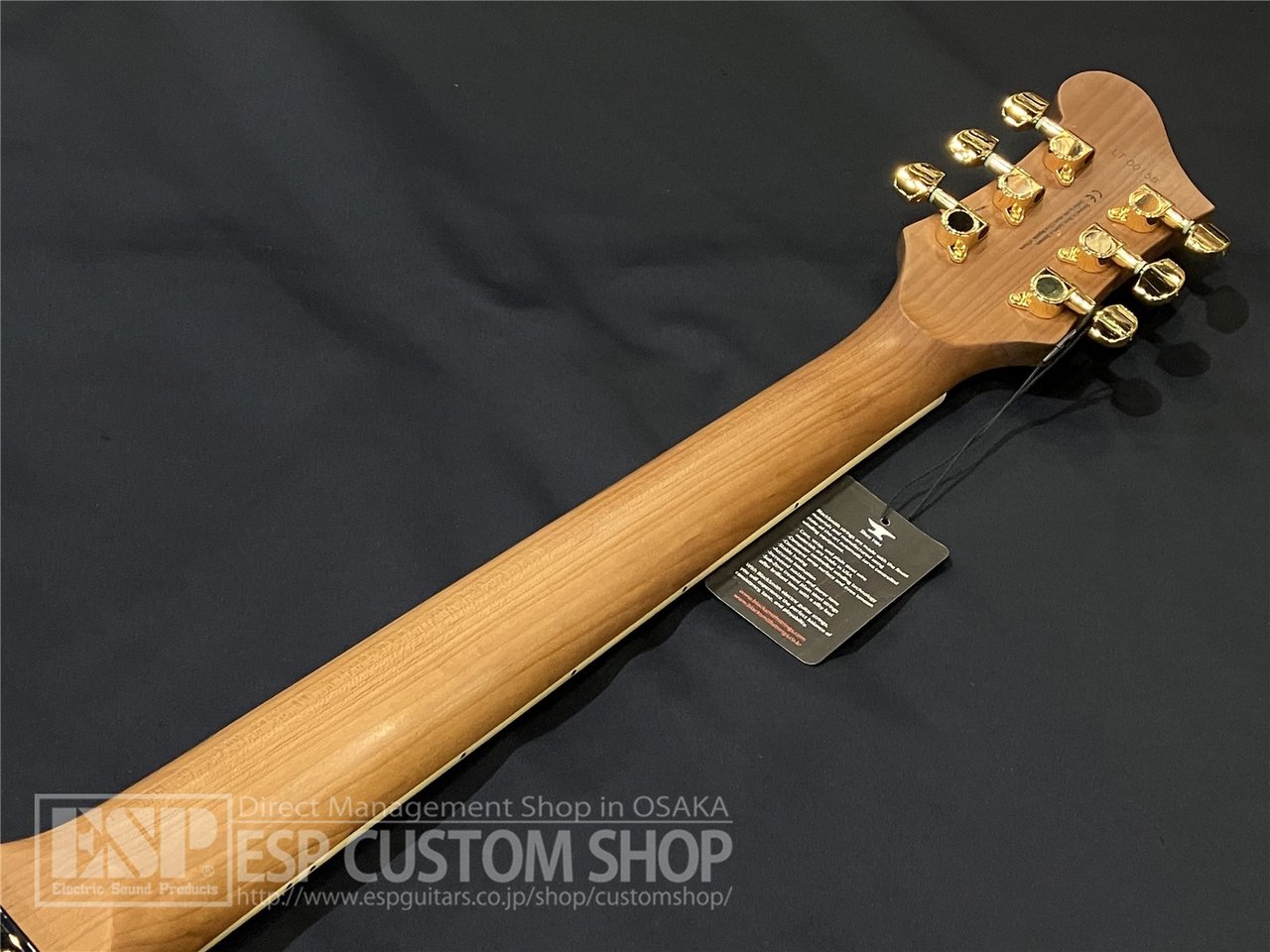 【即納可能】Baum Guitars(バウムギターズ)  Leaper Tone with Tremolo / Deep Sea　大阪店