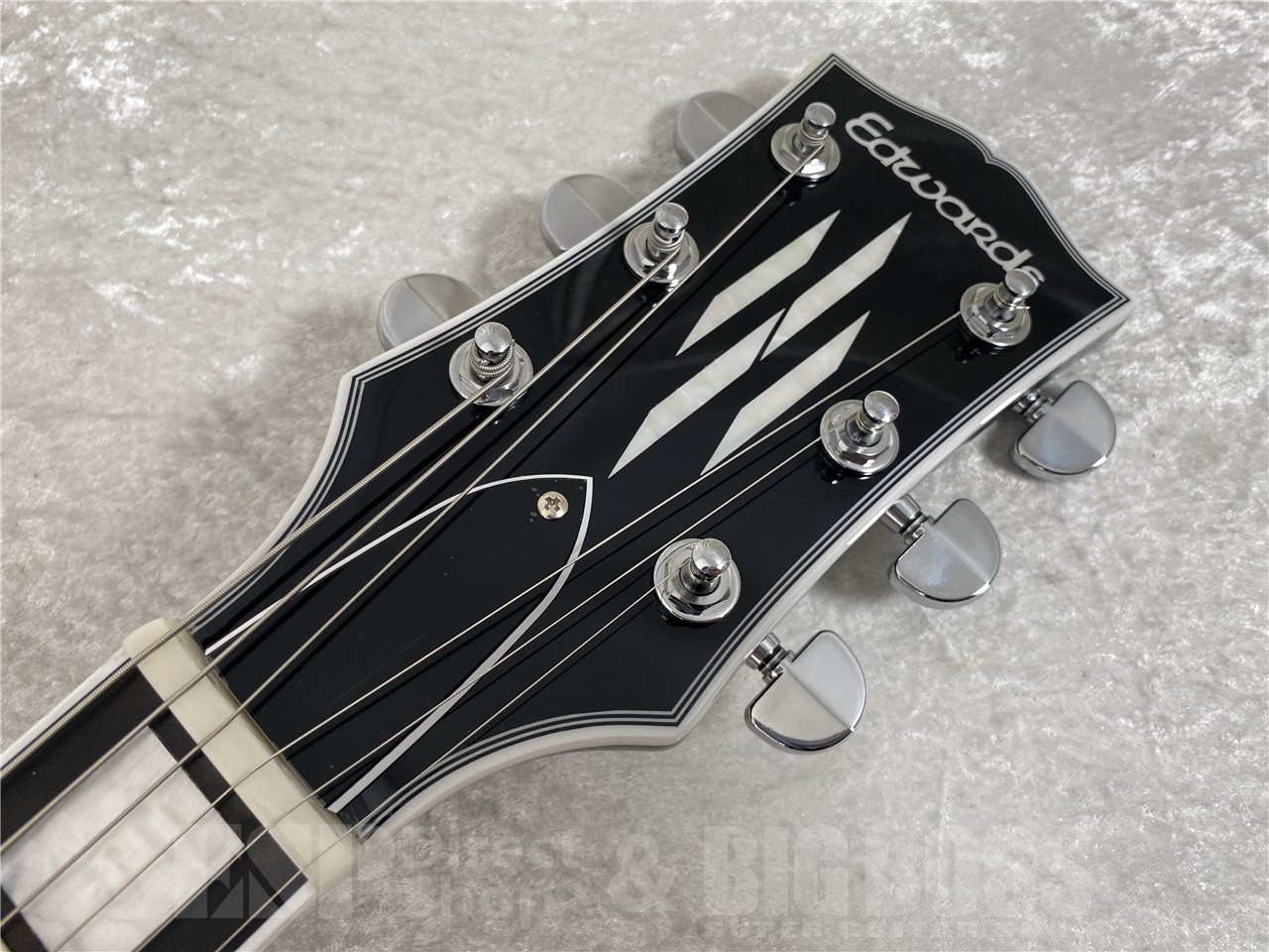 【即納可能】EDWARDS(エドワーズ) E-LP-CTM (JS) お茶の水駅前店(東京)