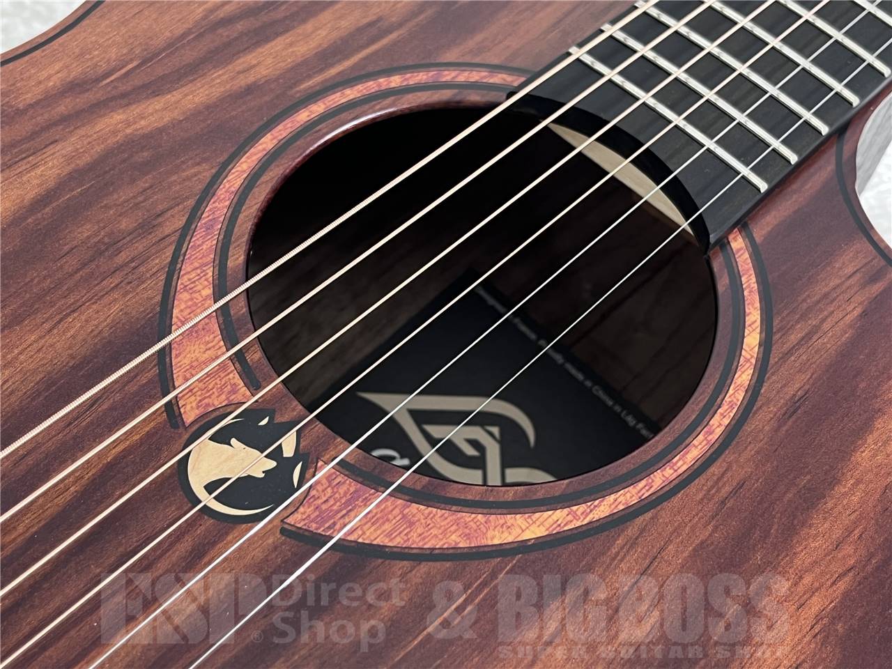 【即納可能】LAG(ラグ) SAUVAGE-ACE (エレアコ) お茶の水駅前店・別館