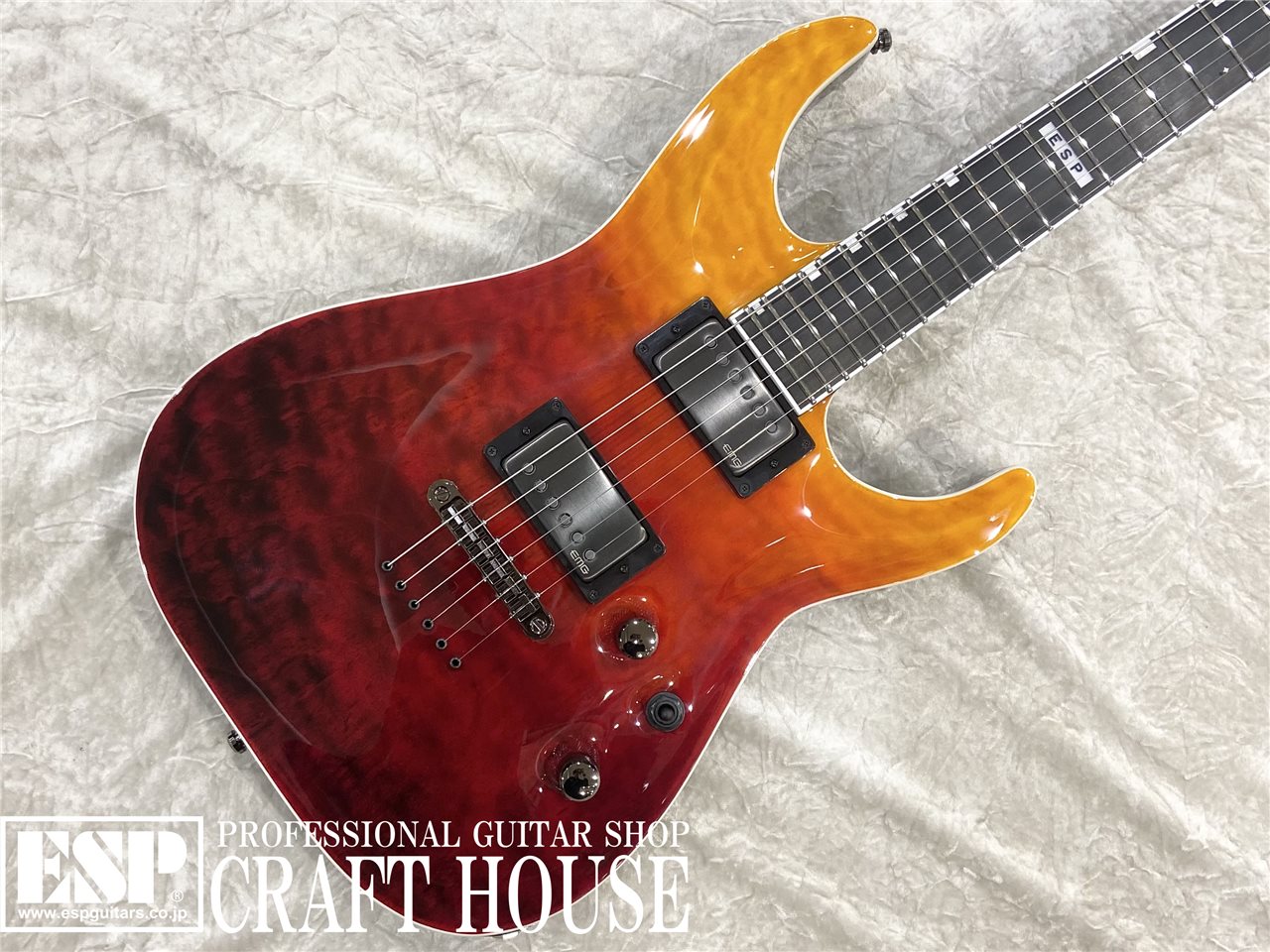 【即納可能】E-II HORIZON NT-II / Tiger Eye Amber Fade　渋谷店