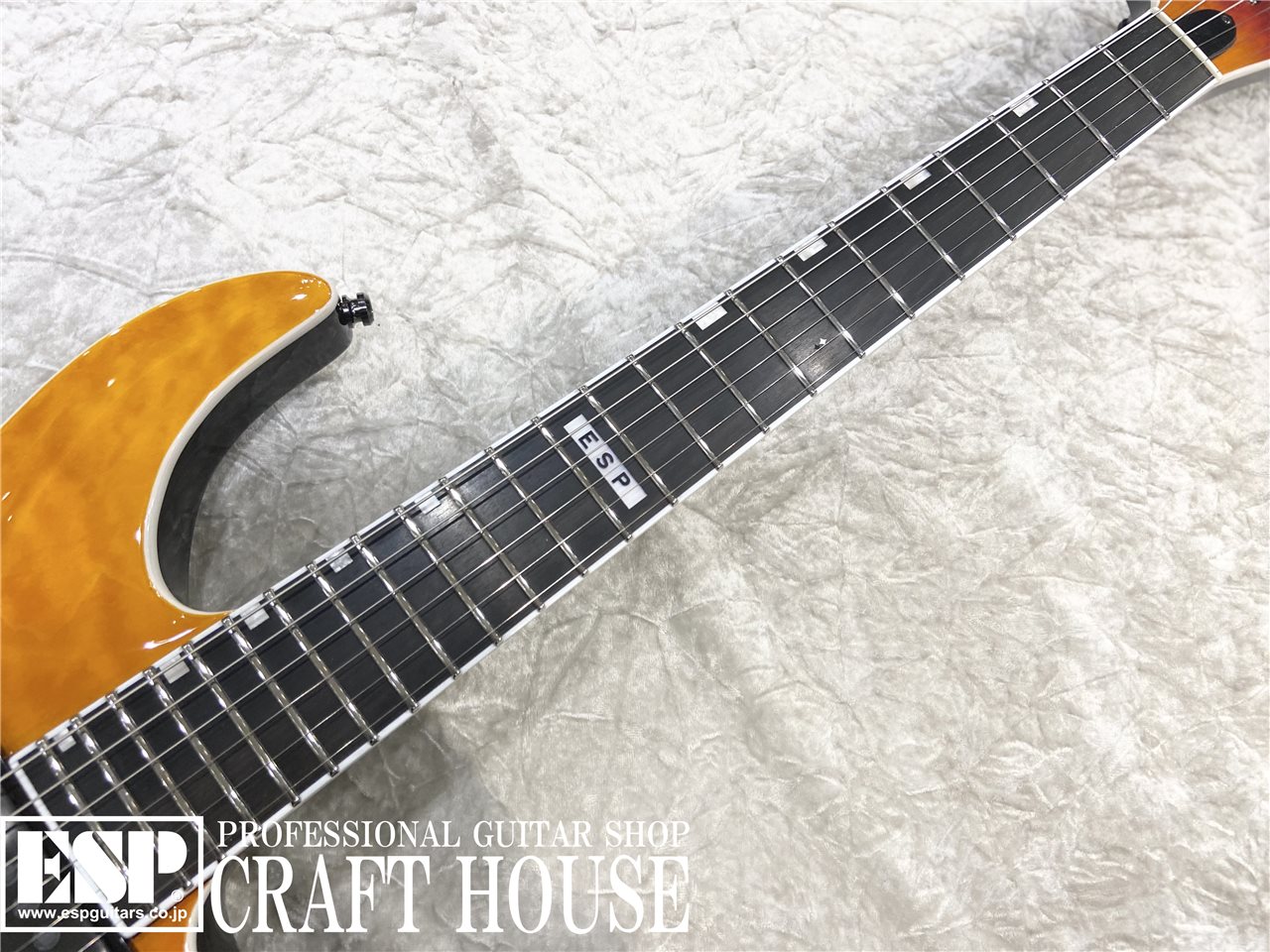 【即納可能】E-II HORIZON NT-II / Tiger Eye Amber Fade　渋谷店