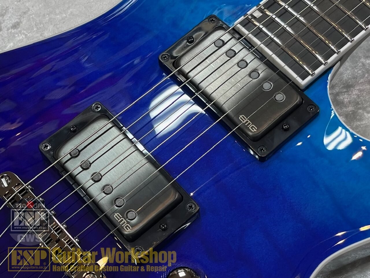 【即納可能】E-II HORIZON NT-II/Blue-Purple Gradation GWS