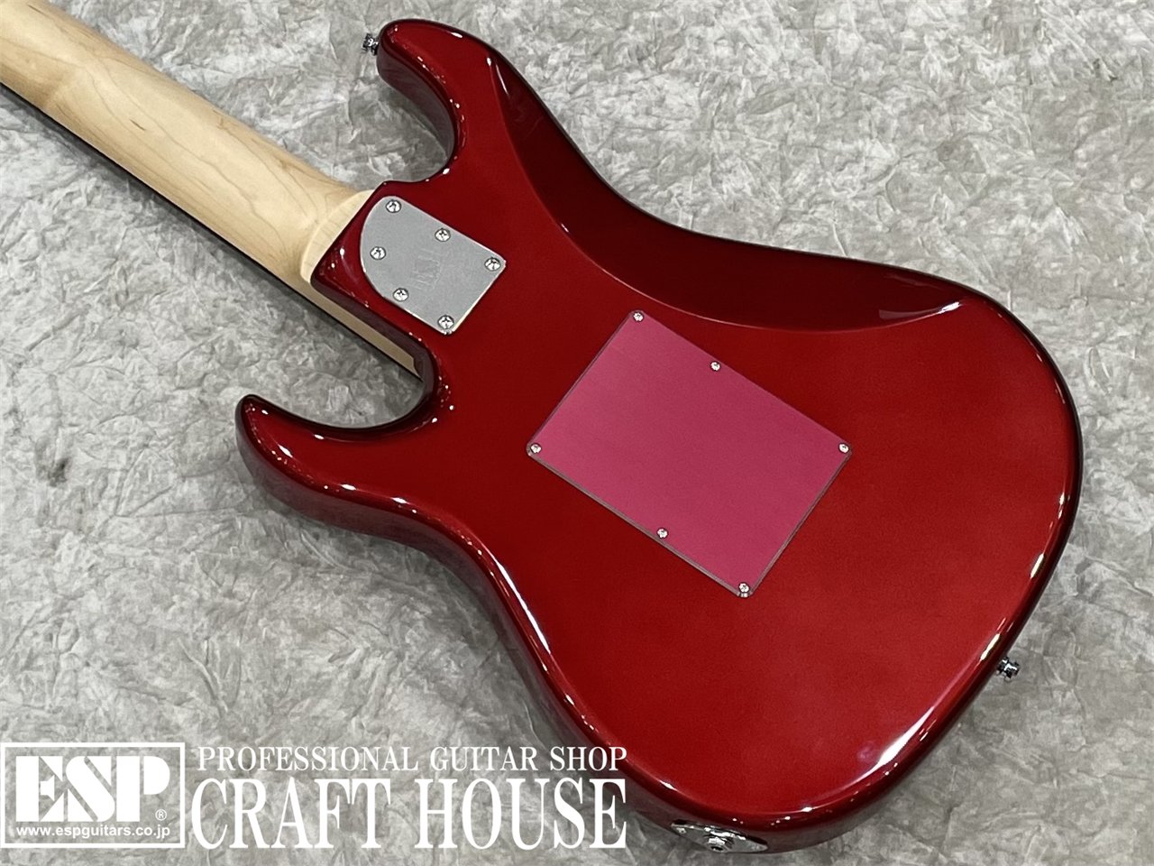 【即納可能】EDWARDS E-SNAPPER-8 ISAO Custom　渋谷店