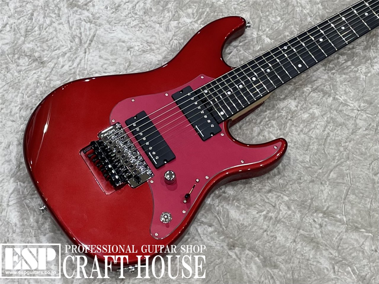 【即納可能】EDWARDS E-SNAPPER-8 ISAO Custom　渋谷店