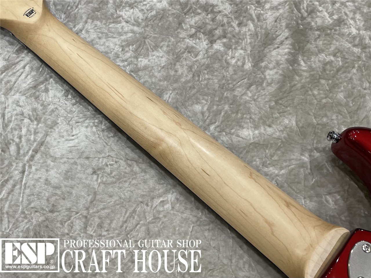 【即納可能】EDWARDS E-SNAPPER-8 ISAO Custom　渋谷店