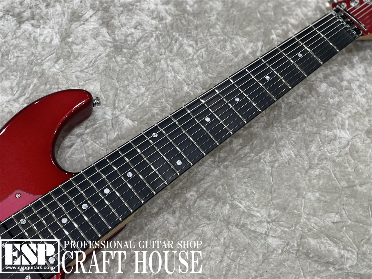 【即納可能】EDWARDS E-SNAPPER-8 ISAO Custom　渋谷店