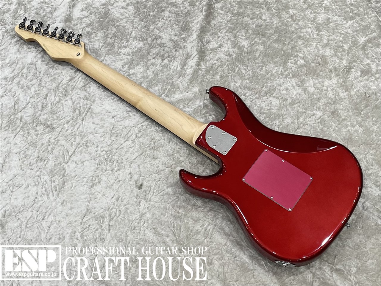 【即納可能】EDWARDS E-SNAPPER-8 ISAO Custom　渋谷店