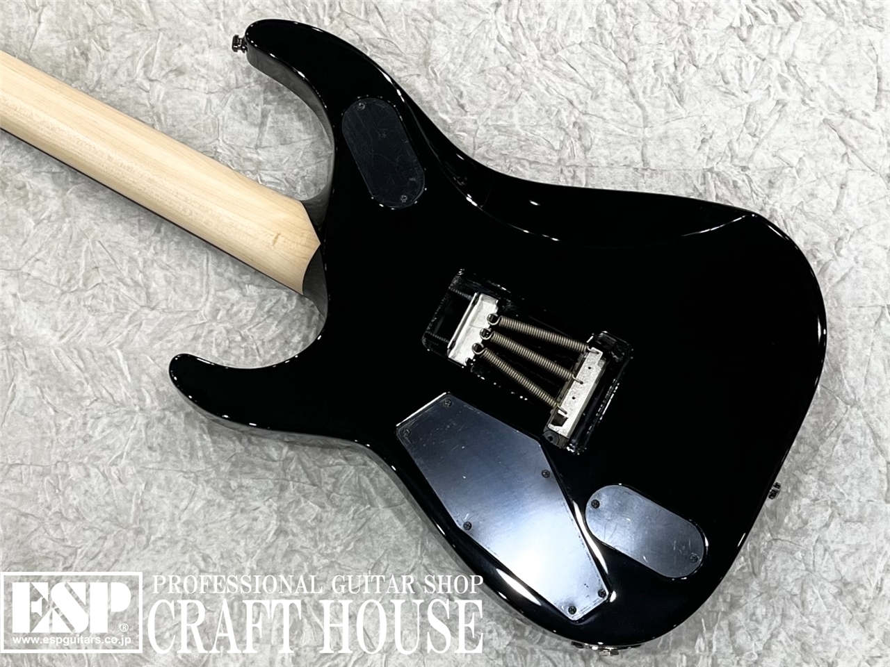 【即納可能】O.Z.Y Takamiy's Guitar / Black w/Red bevel　渋谷店