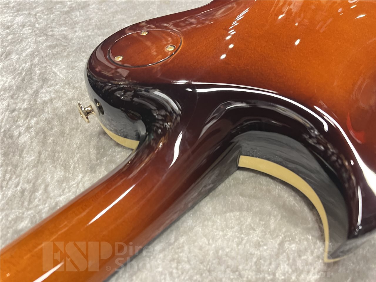 【即納可能】Aria Pro II（アリアプロツー）PE-R80（Japan Brown）　名古屋店